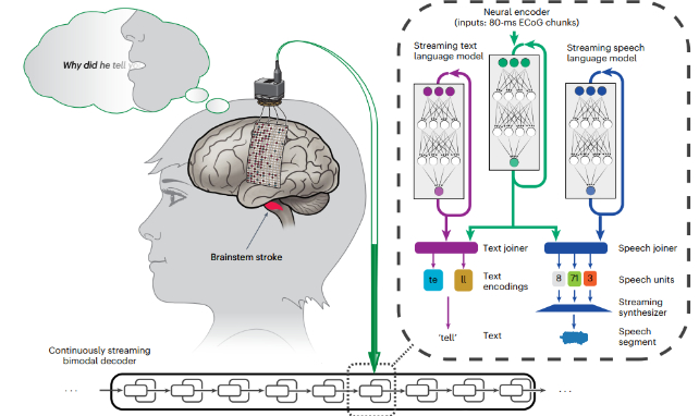 bci speech translation diagram