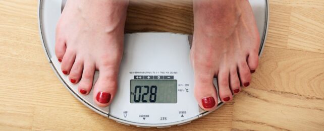 Aging Switches on Stem Cells That Drive Belly Fat Growth